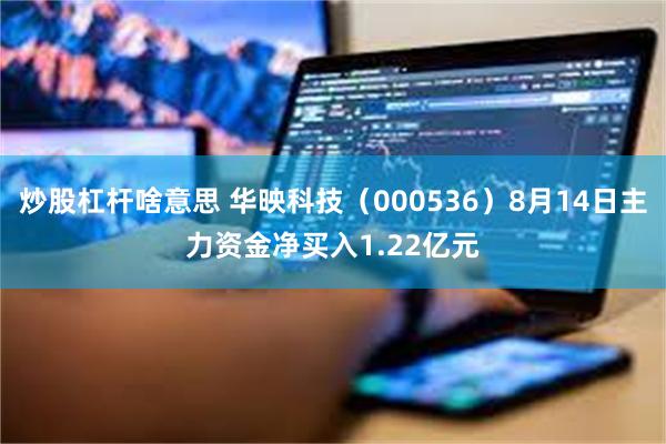 炒股杠杆啥意思 华映科技（000536）8月14日主力资金净买入1.22亿元
