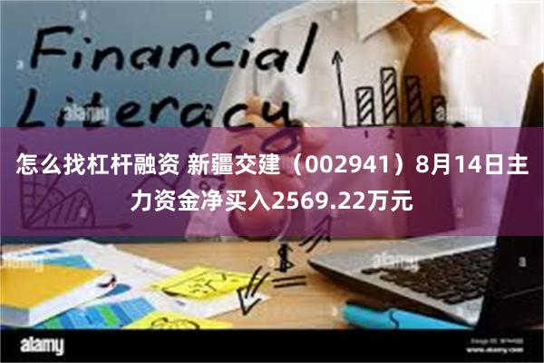怎么找杠杆融资 新疆交建（002941）8月14日主力资金净买入2569.22万元