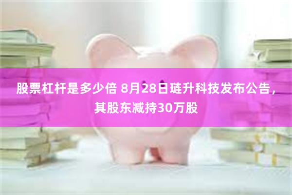 股票杠杆是多少倍 8月28日琏升科技发布公告，其股东减持30万股