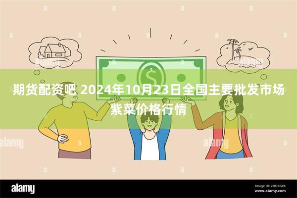 期货配资吧 2024年10月23日全国主要批发市场紫菜价格行情