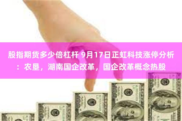 股指期货多少倍杠杆 9月17日正虹科技涨停分析：农垦，湖南国企改革，国企改革概念热股