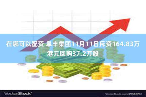 在哪可以配资 阜丰集团11月11日斥资164.83万港元回购37.2万股