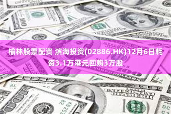 榆林股票配资 滨海投资(02886.HK)12月6日耗资3.1万港元回购3万股