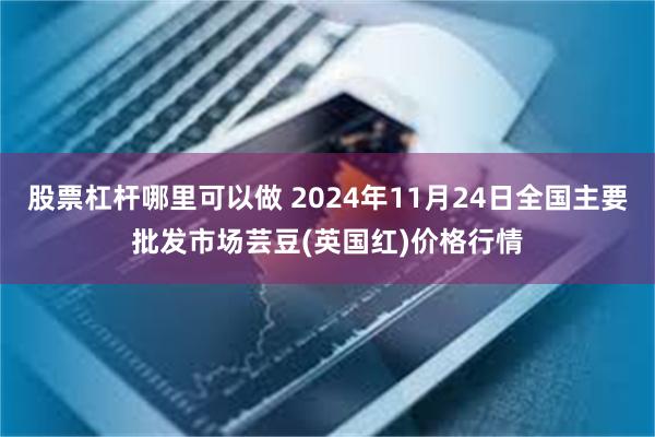 股票杠杆哪里可以做 2024年11月24日全国主要批发市场芸豆(英国红)价格行情