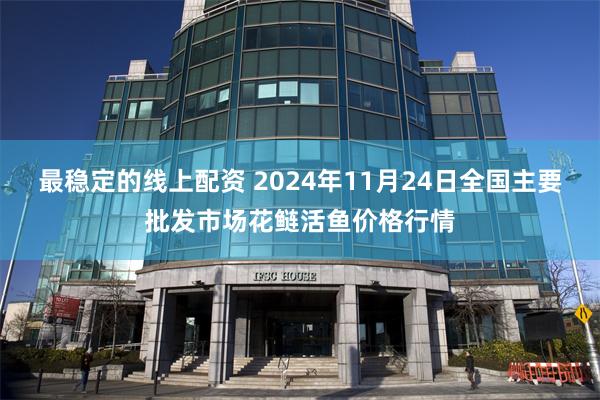 最稳定的线上配资 2024年11月24日全国主要批发市场花鲢活鱼价格行情
