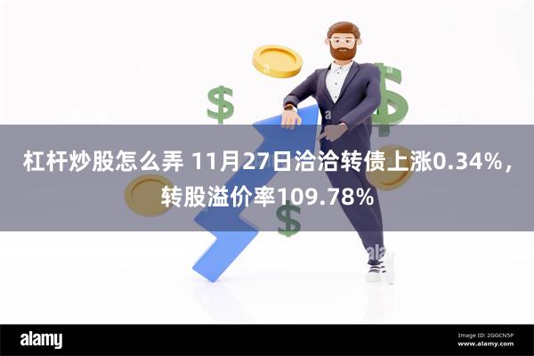 杠杆炒股怎么弄 11月27日洽洽转债上涨0.34%，转股溢价率109.78%