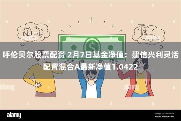 呼伦贝尔股票配资 2月7日基金净值：建信兴利灵活配置混合A最新净值1.0422