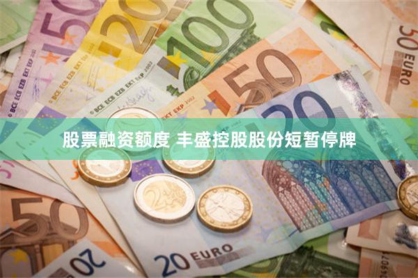 股票融资额度 丰盛控股股份短暂停牌