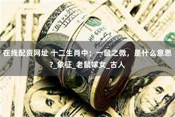 在线配资网址 十二生肖中；一鼠之微，是什么意思?_象征_老鼠