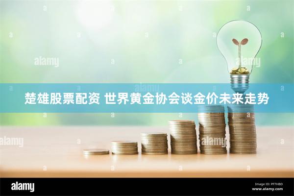 楚雄股票配资 世界黄金协会谈金价未来走势