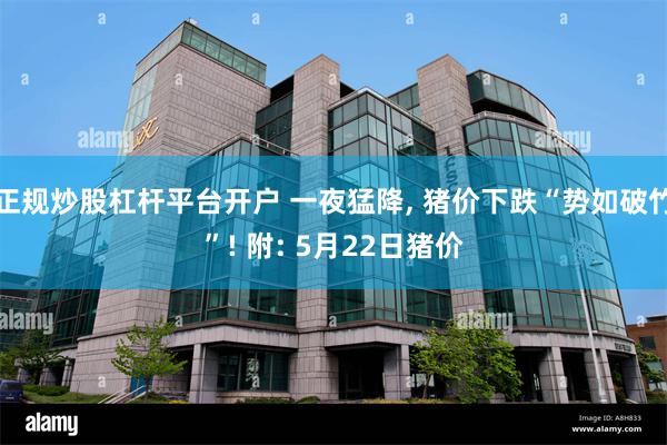 正规炒股杠杆平台开户 一夜猛降, 猪价下跌“势如破竹”! 附