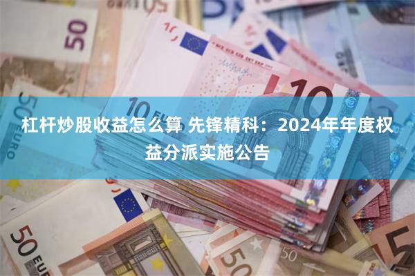 杠杆炒股收益怎么算 先锋精科：2024年年度权益分派实施公告