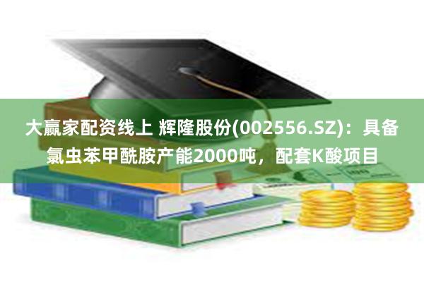 大赢家配资线上 辉隆股份(002556.SZ)：具备氯虫苯甲