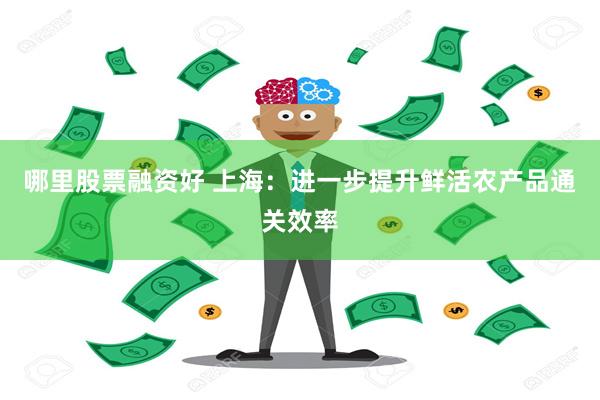 哪里股票融资好 上海：进一步提升鲜活农产品通关效率