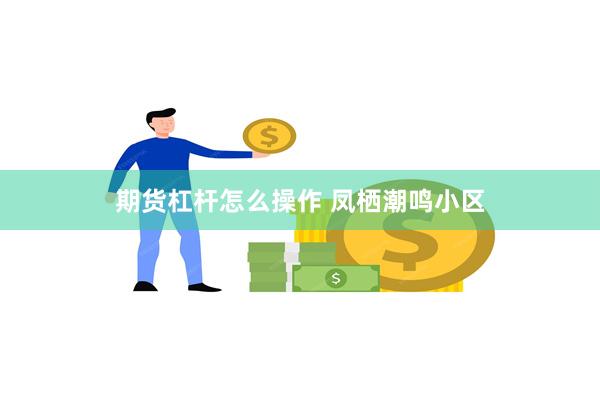 期货杠杆怎么操作 凤栖潮鸣小区