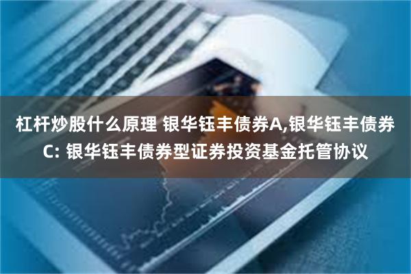 杠杆炒股什么原理 银华钰丰债券A,银华钰丰债券C: 银华钰丰债券型证券投资基金托管协议