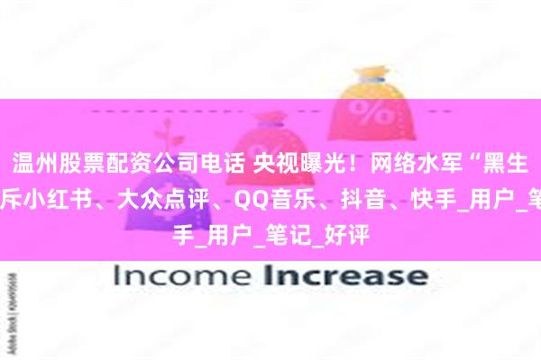 温州股票配资公司电话 央视曝光！网络水军“黑生意”，充斥小红
