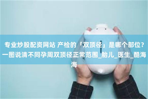 专业炒股配资网站 产检的「双顶径」是哪个部位？一图说清不同孕